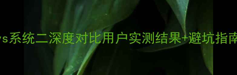 小米2S系统1vs系统二深度对比用户实测结果避坑指南老机党必看